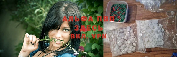 прущий лед Дмитровск