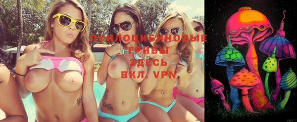 кокс Дмитров