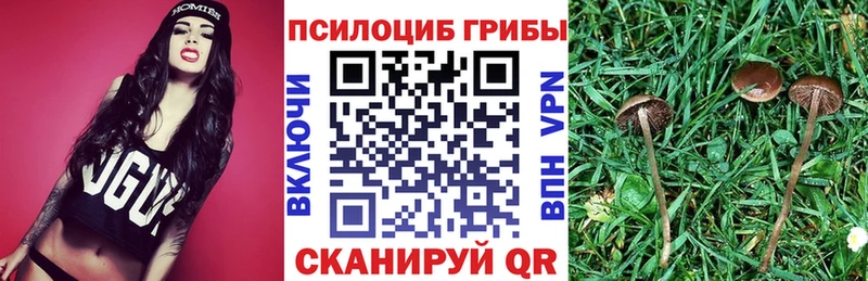 Псилоцибиновые грибы ЛСД  сколько стоит  omg tor  Наро-Фоминск 